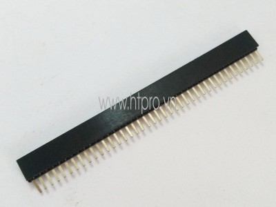 Header Đơn Cái 1.27mm 1x40P