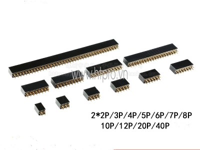 Jump Đôi Cái 2.54mm 2x12P Thẳng